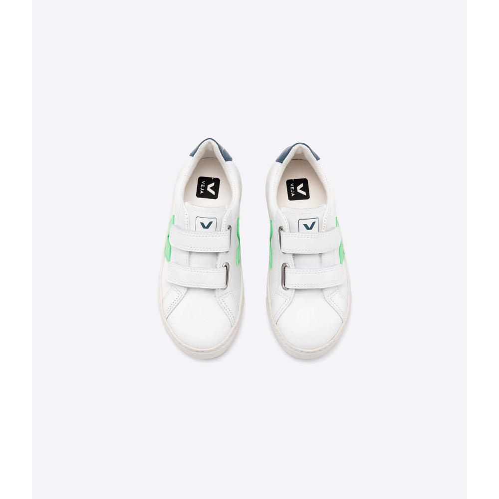 Veja ESPLAR LEATHER Kids' Sneakers White/Green | CA 816EBC